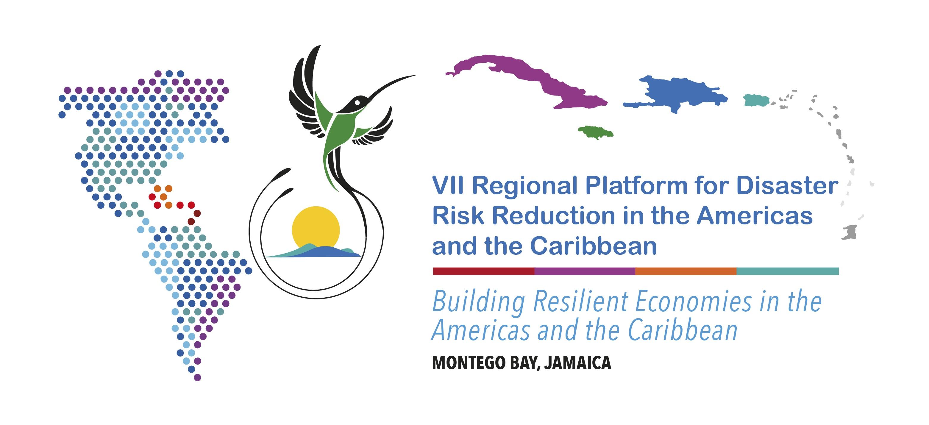 VII Regional Platform will be held in 2021