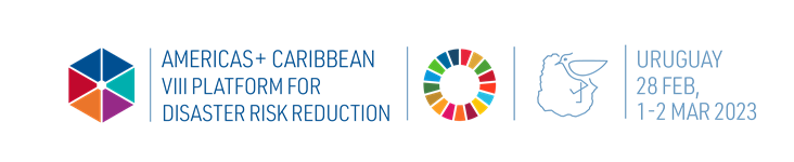 logo of the Regional Platform for Americas and the Caribbean